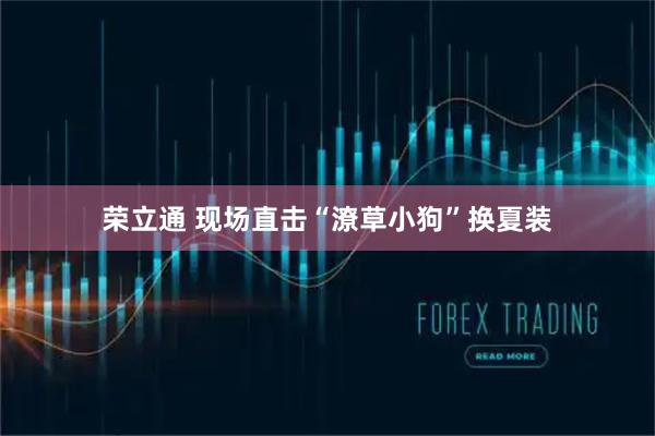 荣立通 现场直击“潦草小狗”换夏装